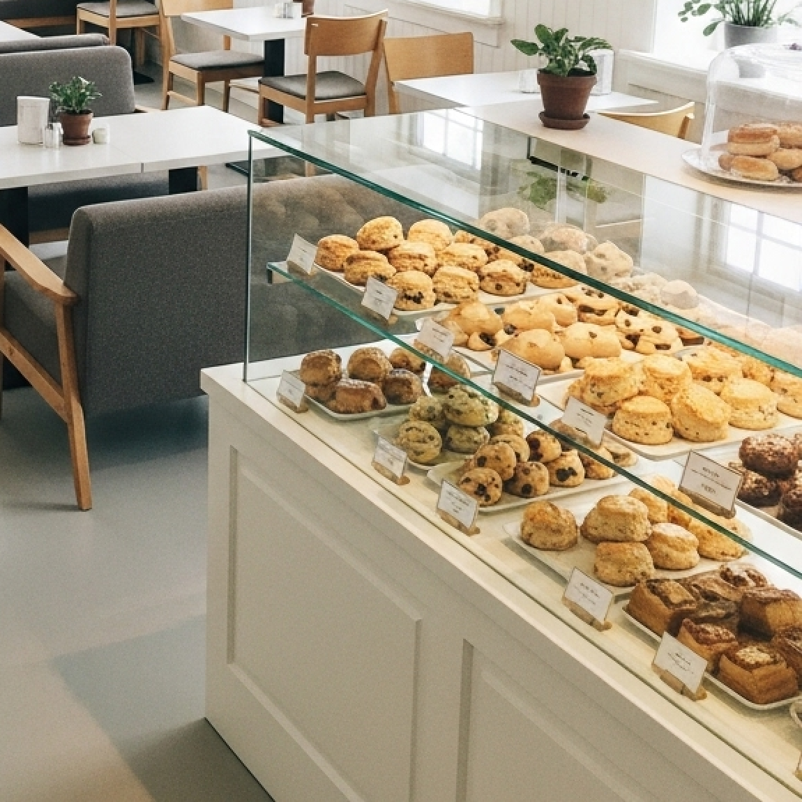 店内のショーケース